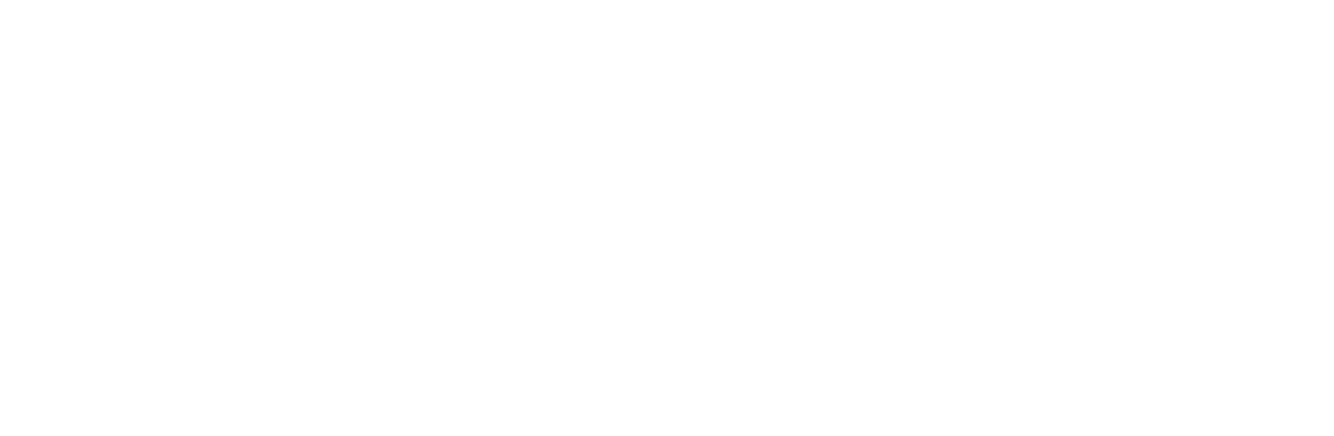 Flash Memory logo